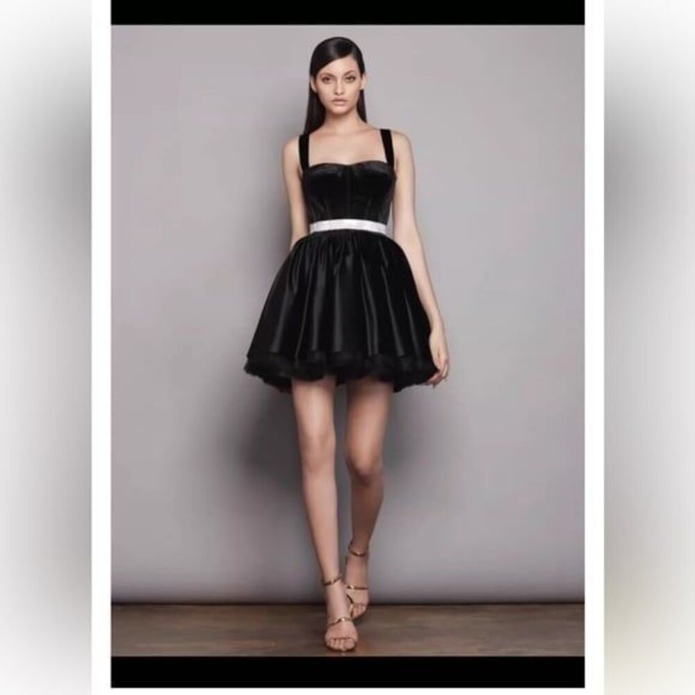NWOT Bronx And Banco Mademoiselle VelvetCorset Mini Dress, Black - Picture 6 of 12